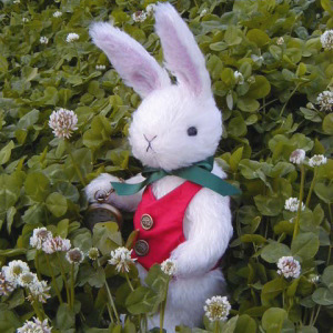 ������ vol,1 [ �x�������� ]