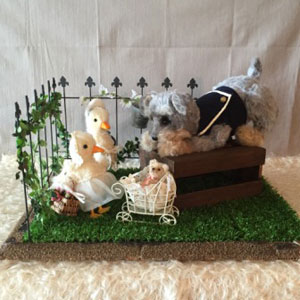 ���� ����qvol.2