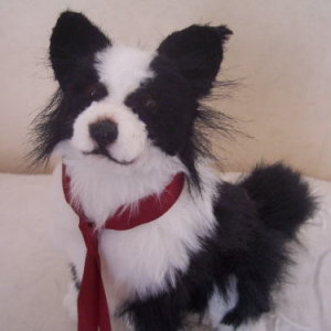 ���� �悤�� vol,1 [ �{�[�_�R���[ ]