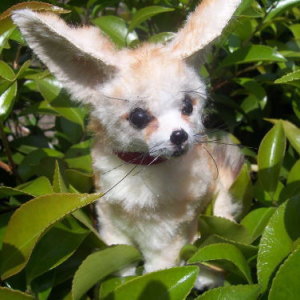 ���� �悤�� vol,3 [ �t�F�l�b�N ]