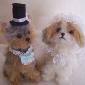 ���� �悤�� vol,2 [ �E�F�f�B���O�����R(���[�L�[�ƃV�[�Y�[) ]