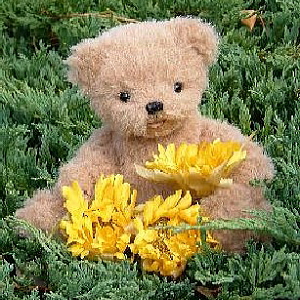 �v�x �����q vol,3 [ Pink Pudol ]