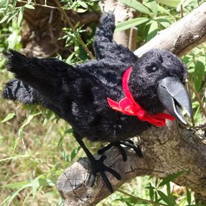 ��V ���R��vol.3