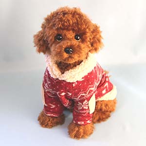 ���� ��vol,1