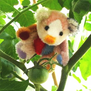 �_�J �O�� vol,3 [ ���F���]�k���� ]