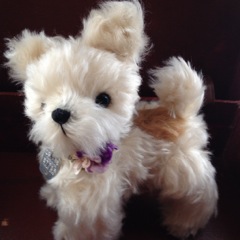 �ؑ� �v���qvol.2