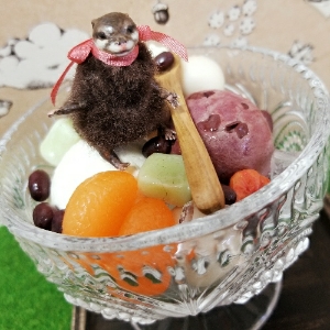 �R���f�N����vol,1