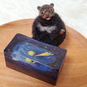 �R���f�N����vol.3