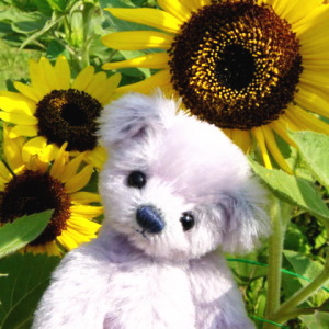 ���� �@ vol,1 [ �Ă̂Ђ܂�� ]