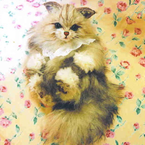 ���{ �獁�q vol,1 [ �V�G�� �|5�����| ( ���C���N�[�� ) ]