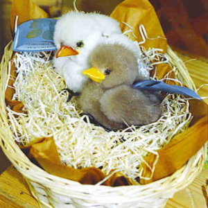 ���{ �獁�q vol,2 [ �ҋחނ̃q�i�� ]