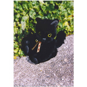 ���{ ���K vol,3 [ �e�f�B�L���b�g ( �� ) ]