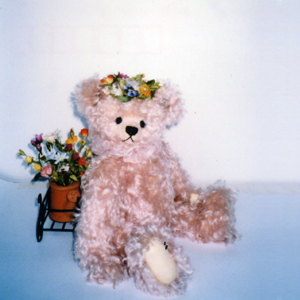 ���v ���R�� vol,1 [ �t���[�� ]