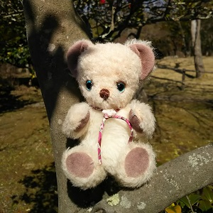 �c�� ���}vol.3