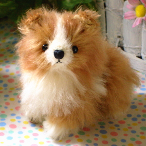 �n糃��J�� vol,1 [ ��񂮂�݃V�F���e�B ]