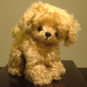 ��Ԃ��Ɓ@���傤��vol.2�@�x�r�[�g�C�v�[